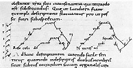 Органум «Rex caeli domine» в записи дасийной нотацией. Фрагмент анонимного трактата. IX в. (Бамбергская гос. б-ка)