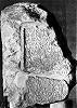 Фрагмент надгробия св. Аверкия Иерапольского (Музеи Ватикана)