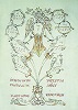 «Древо параллаги» прп. Иоанн Кукузеля. Миниатюра из Пападики. 1774 г. (Ath. Paul. 132. P 83)