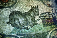 Напольная мозаика в базилике еп. Феодора в Аквилее. Нач. IV в.