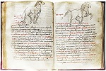 Сборник трактатов по медицине из мон-ря Монте-Кассино. Ок. 850–900 гг. (Laurent. Plut. 73. 41)