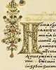 Инициал «Н» из «Псалтири с воспоследованием». Ркп. Нач. XVII в. (до 1619 г.) (РГБ. Ф. 173.1. № 137. Л. 73 об.)