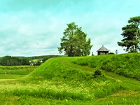 Городище Савкина Горка, Пушкиногорский р-н Псковской обл. Фотография. 2014 г. Фо-то: З. А. Зверева