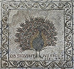 Фрагмент мозаичного пола с изображением павлина. V в. Фото: duomo.firenze.it