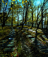 Старое монастырское кладбище. Фотография. 2005 г.