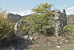 Руины комплекса близ с. Окумушлар (Боселта). Фотография. 2019 г. Фото: Research center of Georgia, culture and tourism resourses